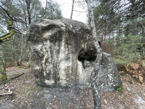 Image of Mazurka